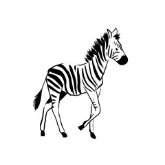 Fototapeta premium Zebra. Zebra simple black and white line art vector logo