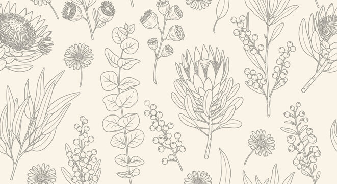 A delicate and intricate line drawing pattern featuring various Australian native flora, including proteas and eucalyptus branches, on a soft cream background.