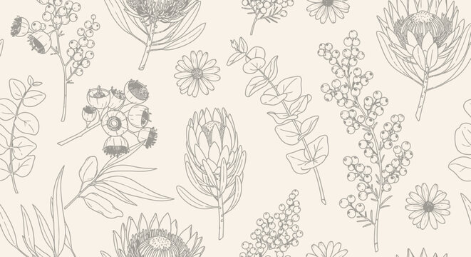 A delicate and intricate line drawing pattern featuring various Australian native flora, including proteas and eucalyptus branches, on a soft beige background.