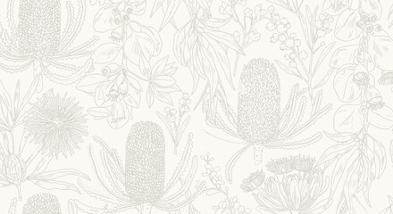 Delicate line drawing of Banksia flowers and foliage on a cream background. © Jonan