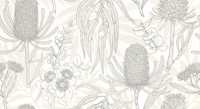 A delicate and intricate line drawing pattern featuring various Australian native flora, including Banksia flowers and eucalyptus leaves, on a soft, neutral background.