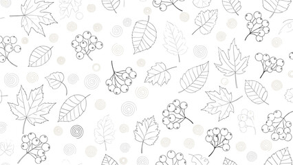 Seamless pattern featuring delicate hand drawn outlines of various autumn leaves, berries, and decorative spiral elements.