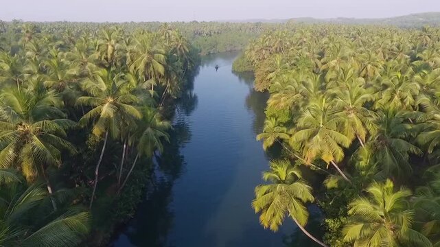 Aerial view of river and coconut palm forest in Honnavar