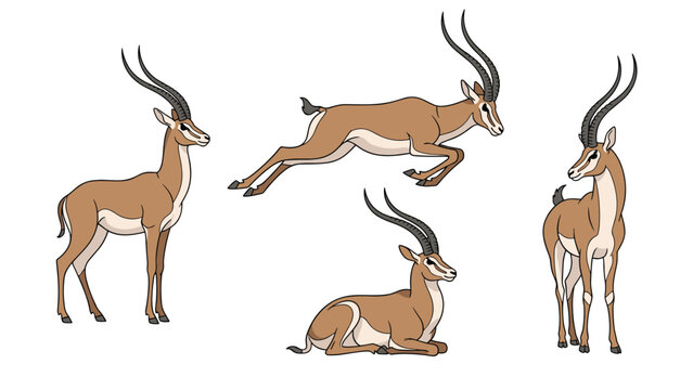 Set of gazelle or impala illustrations showing the animal standing, running, and resting on a white background.