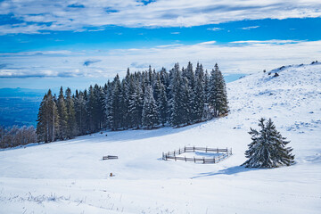 snow-covered mountains