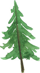 Fototapeta premium Vibrant Green Watercolor Pine Tree Isolated Hand Painted Illustration Forest Nature Element Art