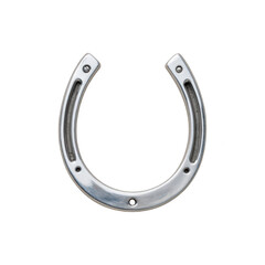 Silver horseshoe with engraved lines and small inset circles, offering a refined aesthetic and lucky charm