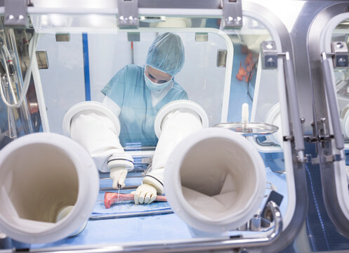 Scientist processing human tissue in insulator laboratory