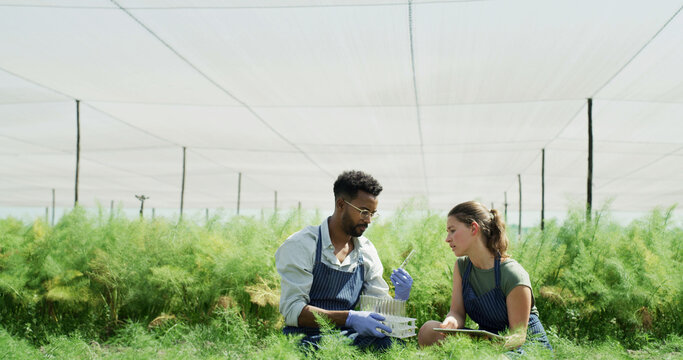 Greenhouse, test tube and people with tablet, sample or gmo with app for crop inspection. Man, woman and agriculture with tech, genetic engineering or sustainability discussion for growth research
