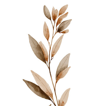 Hand-painted watercolor branch digital asset for AI-powered generative design and artistic projects