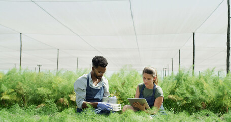 Greenhouse, test tube and people with tablet, crop or gmo with app for sample inspection. Man, woman and agriculture with tech, genetic engineering or sustainability discussion for growth research © peopleimages.com