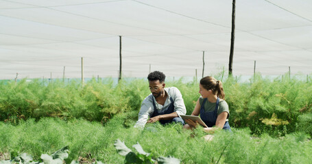 Team, talking and people with tablet, farm and plant inspection for disease management and research. Outdoor, botanist and colleagues with tech in nature, agriculture and study for quality assurance © peopleimages.com