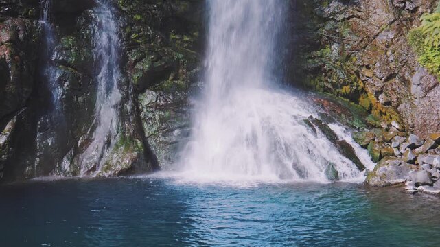 伊豆・河津七滝 最大の滝「大滝」｜柱状節理を流れ落ちる迫力の景観とエメラルドグリーンの滝壺