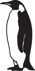 Emperor Penguin in silhouette on white background..