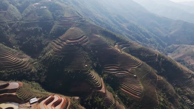 Sweeping aerial footage tracking along terrace steps beside a forest ridge in Mui Giay (Mũi Gi&agrave;y), Mu Cang Chai, Yen Bai, Vietnam, showing traditional farming patterns and paths.