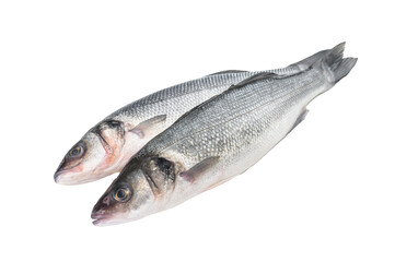 Silver sea bass whole fish isolated in studio composition, clean seafood ingredient representing fresh marine cuisine, healthy protein food and minimalist style.