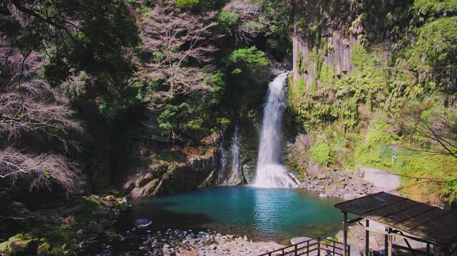 伊豆・河津七滝 最大の滝「大滝」｜柱状節理を流れ落ちる迫力の景観とエメラルドグリーンの滝壺