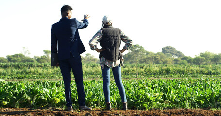 Back, conversation and people at farm for sustainability teamwork, agreement or collaboration....