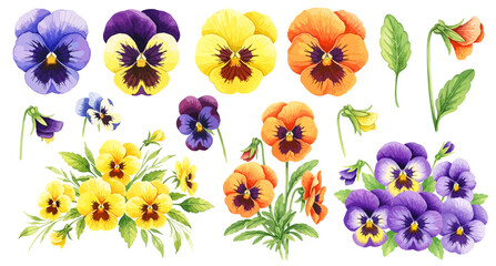 パンジーのイラストパーツセット（花束・単体・蕾・花びら・麻紐）,春の花,ビオラ,三色菫,水彩風