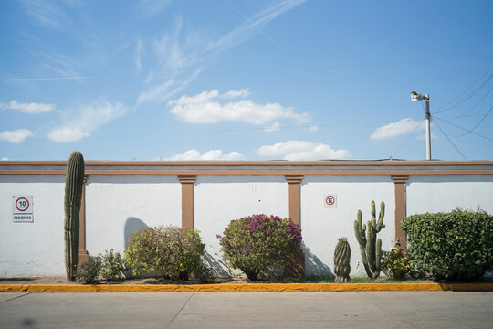 Sonoran desert landscaping and wall in Mexico