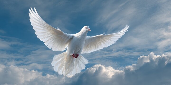 White dove flying with wings spread wide against soft blue sky and fluffy clouds symbolizing peace, freedom, purity, hope, spirituality, and religious inspiration in tranquil atmosphere