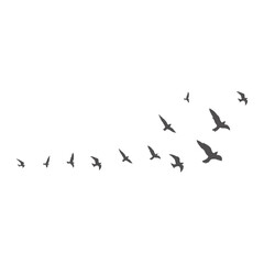 Obraz premium Flock of Birds Flying Silhouette