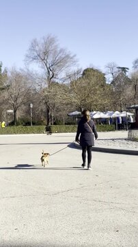 Mujer due&ntilde;a paseando a perro fiel con correa dando vuelta con mascota por el parque