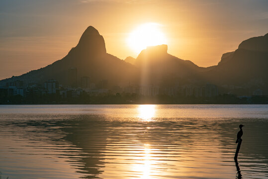 Sunset Over Lagoa Rodrigo de Freitas and Morro Dois Irm&atilde;os with Bird Silhouette - Rio de Janeiro, Brazil