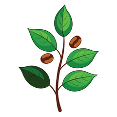 Obraz premium This is a cute illustration of a vibrant green coffee plant branch with natural brown beans