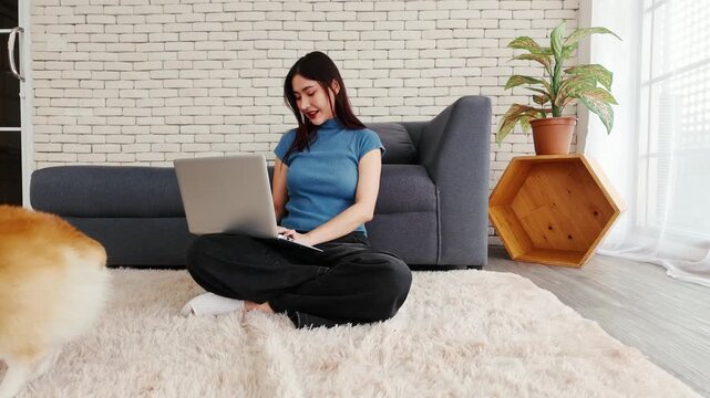 Woman sitting on a rug with a laptop in a bright living room, smiling at her corgi by a gray sofa, with an indoor plant and hexagon shelf against a white brick wall.