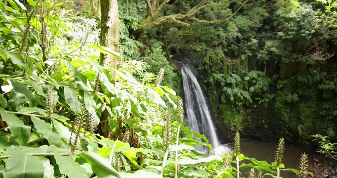 Salto do Prego waterfall is surrounded by lush green foliage