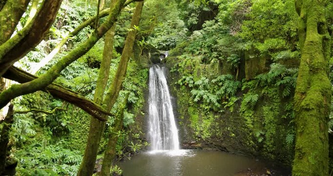 Salto do Prego waterfall is surrounded by lush green trees and a small pond