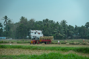 Fototapeta premium tractor in field