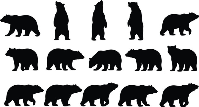 Fifteen black bear silhouettes in diverse poses including standing, walking, and looking, arranged in three rows, isolated on white background for wildlife, nature, and design projects