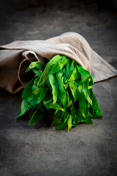 Wild garlic leaves on kitchen towel on black concrete background