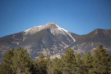 Majestic Humphreys Peak Snow Capped Mountain with Pine Forest and Copy Space