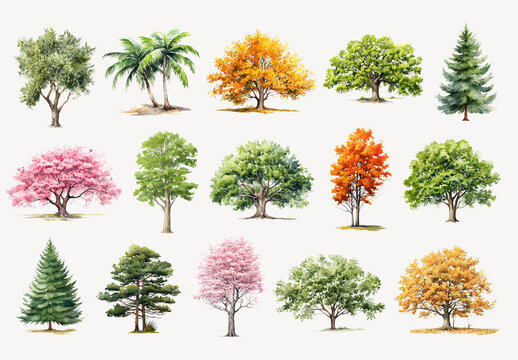 Diverse Watercolor Trees Element Design Set