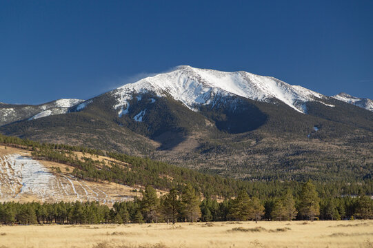 Majestic Snow Capped Humphreys Peak in Flagstaff Arizona with Pine Forest and Copy Space