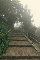Fototapeta premium Stone Stairs Leading Up into Dense Mist with Copy Space for Text
