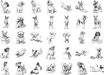 Hand Drawn Playful Dog Poses and Puppy Action Sketch Collection
