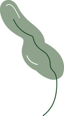 트로피컬 넓은 잎사귀 벡터 이미지