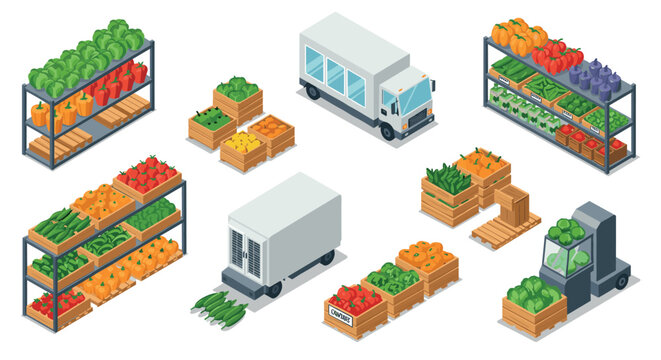 isometric fresh vegetable crates shelves and delivery trucks set in vector style for grocery and farm market illustration