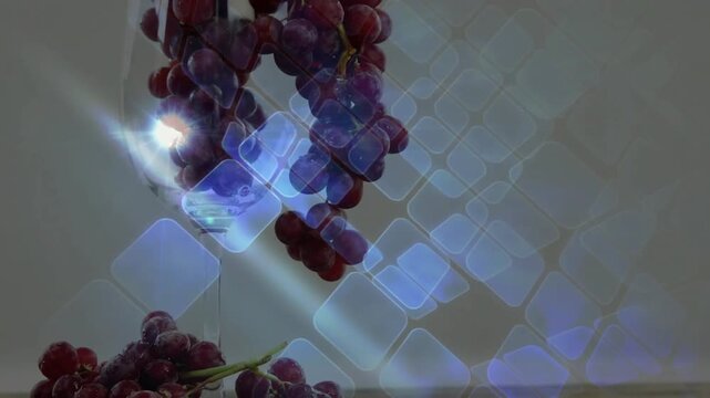 Camera shifting forward, grapes centering, blue grid intensifying, highlighting glossy closeup