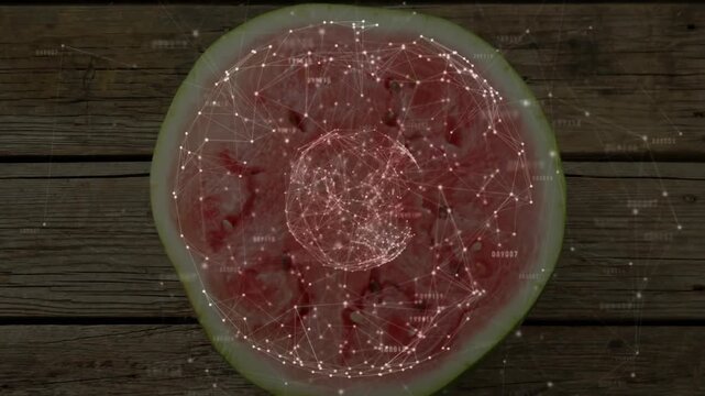 Network forming on half watermelon center pulsing, rotating while camera pulling back, mapping data