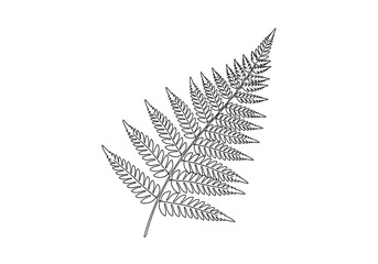 Obraz premium Detailed black and white illustration of a fern leaf.