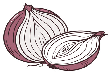 A vector graphic illustration of two red onions, one whole and one sliced, on a white background