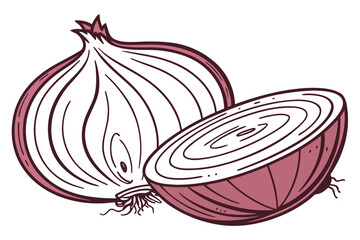 A vector graphic illustration of a whole onion and a sliced onion on a white background