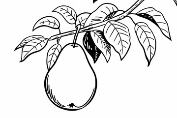 A black and white illustration of a pear hanging from a tree branch with leaves