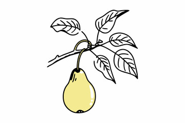 A minimalist vector illustration of a pear hanging from a branch with leaves