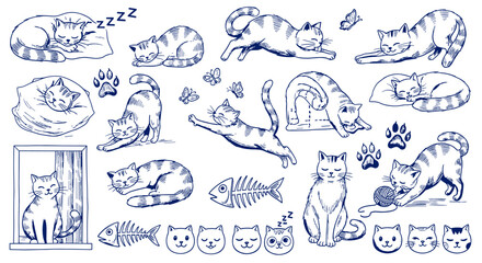 Obraz premium Charming Hand Drawn Sketch Collection of Playful Cats in Various Poses and Activities Depicting Daily Life and Feline Behavior